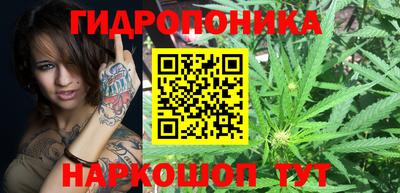 бошки Дубна