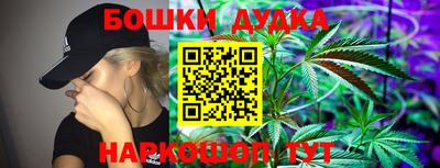 бошки Дубна