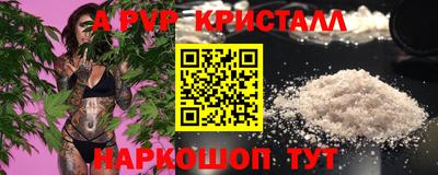 бошки Дубна