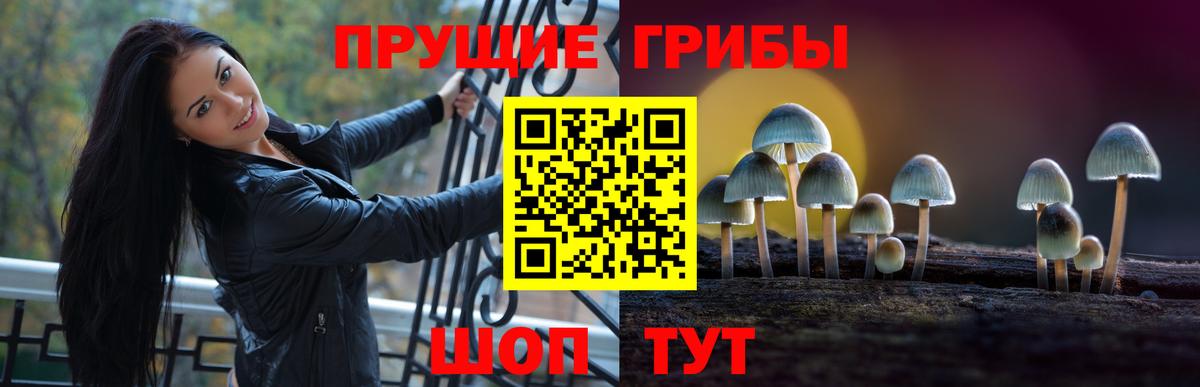 Псилоцибиновые грибы Magic Shrooms  Псилоцибиновые грибы Cubensis  Вход с VPN  Канаш 